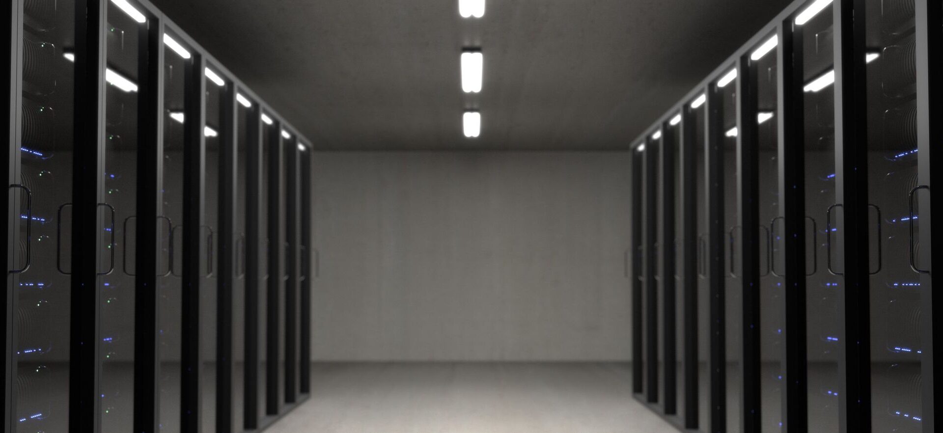 Server racks with network cables in a data center
